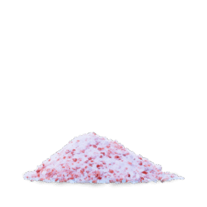 Animal 5