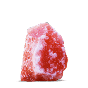 Animal 6