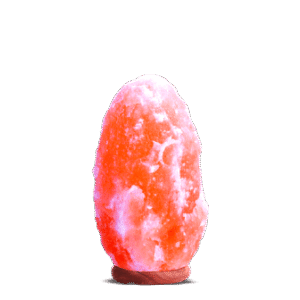 Natural Shapes 4